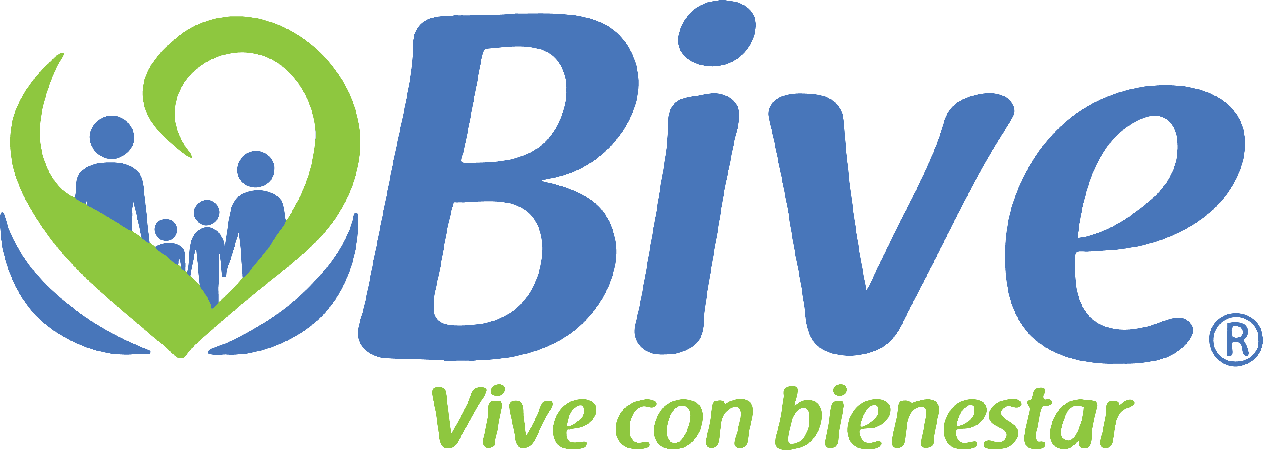 Fundación BIVE
